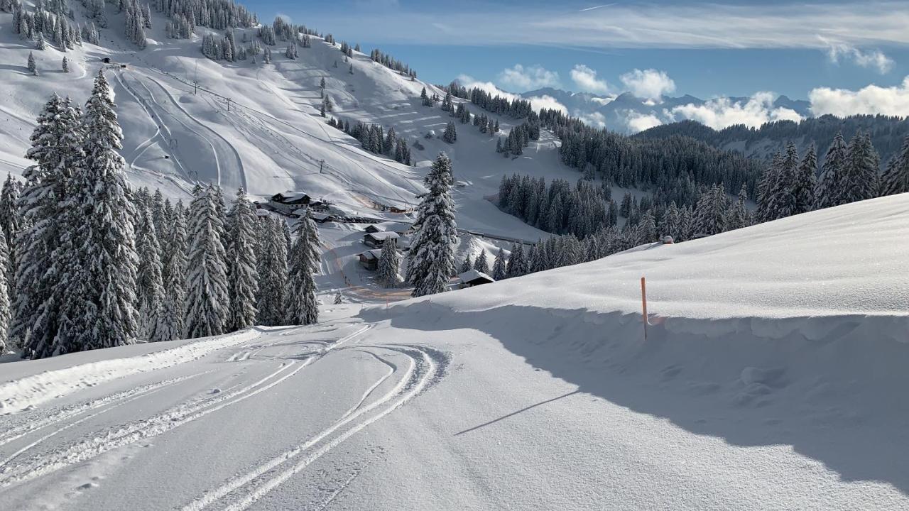Ferienwohnung Am Goldbach Pool Sauna Obermaiselstein Kültér fotó
